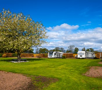 Drummohr Camping and Glamping